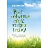 Pod nohama citis stebla travy