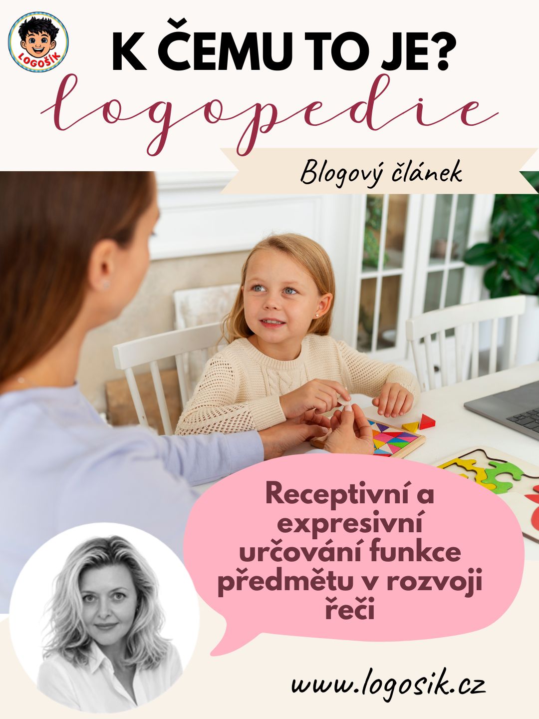 K čemu to je? Receptivní a expresivní určování funkce předmětu v rozvoji řeči