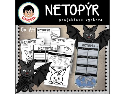 Obrázek2