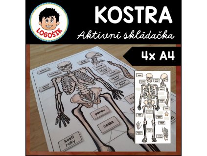 kostra