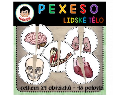 Obrázek10
