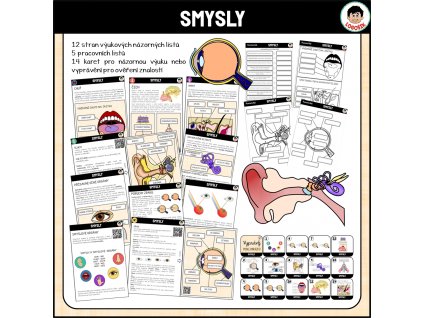 SMYSL