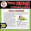 13312 pipplin a adventni povidani 29