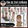 ČÍM SE ŽIVÝ ZVÍŘATA