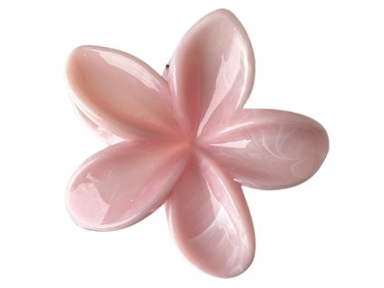 🌸 Blush Conspiracy