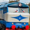 Bardotka T478-1002