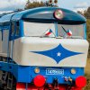 Bardotka T478-1002 (BAR01)
