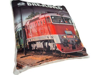 Brejlovec polštářek