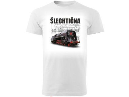triko 475 1 slechticna typak 01