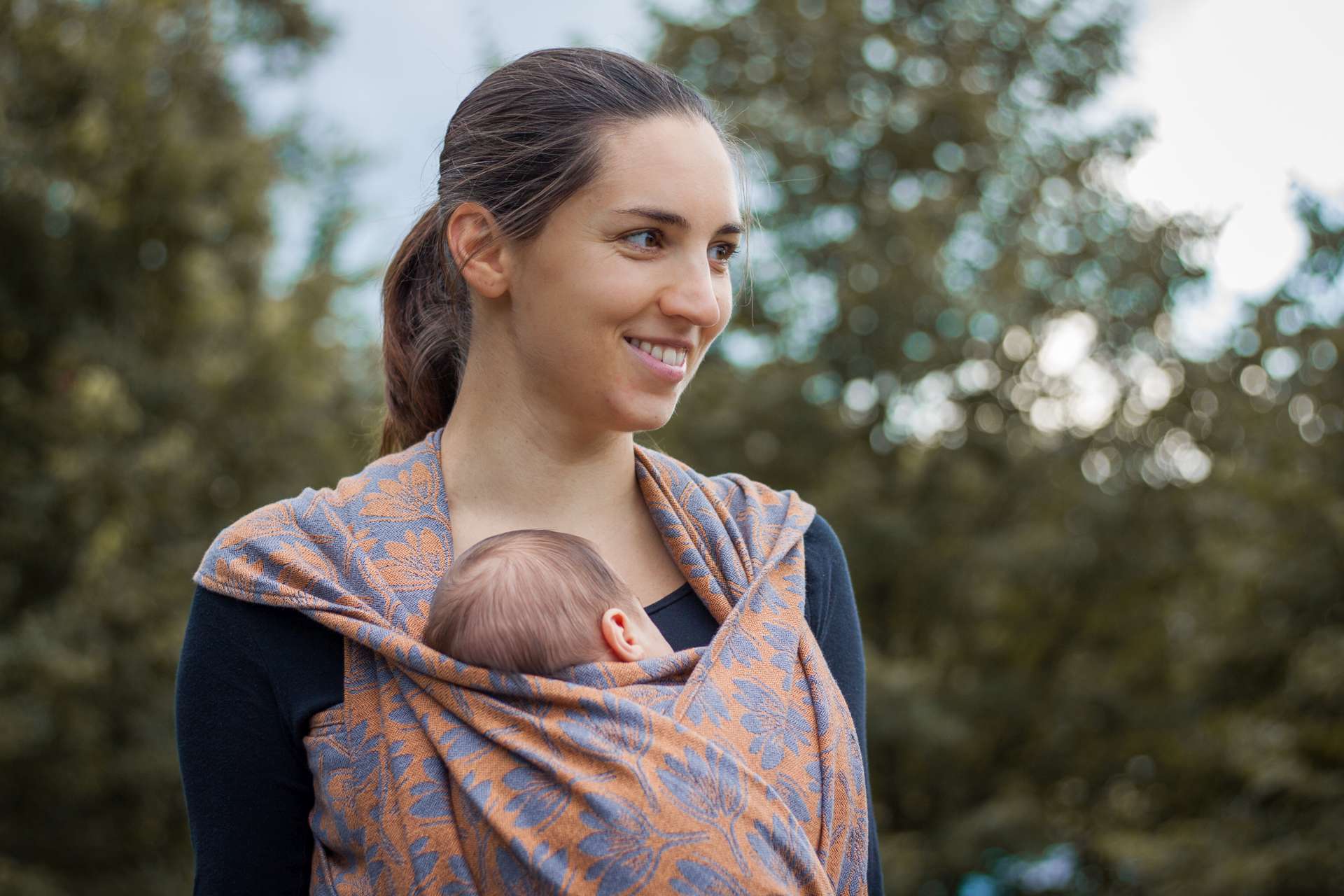 35. Rhododendrons Twilight