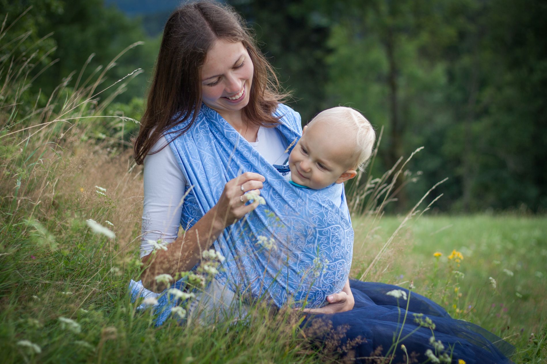 33. Bird Garden Chicory