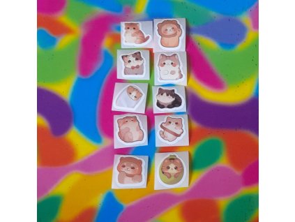 WhatsApp Image 2024 12 20 at 10.13.54