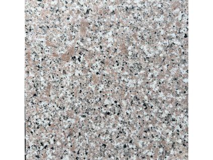 Salmonis Granite
