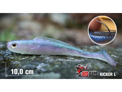 kicker l uvodan 1000x700 1