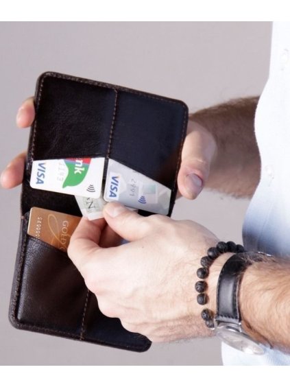 Elegantní pánské pouzdro na doklady Solier