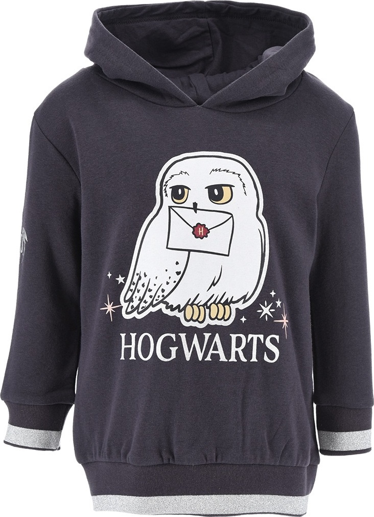 Harry Potter Tmavě šedá mikina se sovou (Velikost 104)