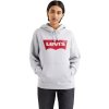 Šedá mikina Levi's Graphic Standard Hoodie