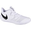 Nike Zoom Hyperspeed Court