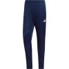Adidas Entrada 22 Training Pants