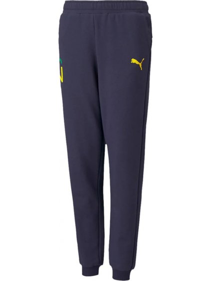 DETSKÉ TEPLÁKY PUMA NEYMAR JR HERO SWEATPANTS