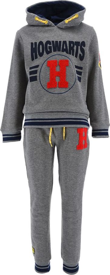 Harry Potter tmavosivá chlapčenská súprava Veľkosť: 150