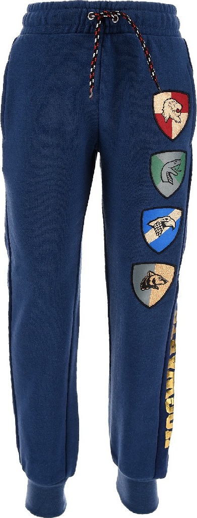 Harry Potter modré velúrové tepláky Veľkosť: 116