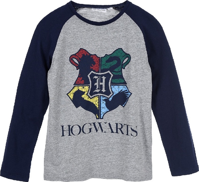 Šedé tričko s modrými rukávmi Harry Potter Veľkosť: 116