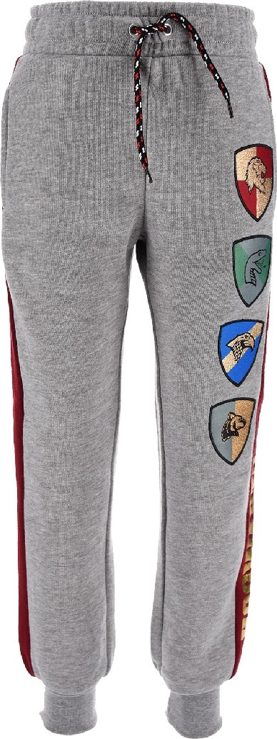 Harry Potter sivé velúrové tepláky Veľkosť: 140