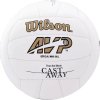 Wilson Cast Away Mini Mr Wilson Volleyball