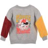 Disney Minnie Mouse sivá mikina s potlačou na chrbte