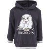 Harry Potter Tmavosivá mikina so sovou