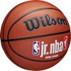 Wilson Jr NBA Fam Logo In/Out Ball