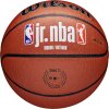 Wilson Jr NBA Fam Logo In/Out Ball