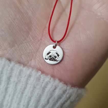 Medailon pes- poslední příležitost, stříbro