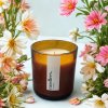 mango champagne ice 6