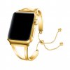 Loopi Ladies Steel Band Apple Watch Gold