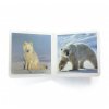 polar animals