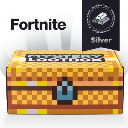 Mystery Box New Product picture Fortnite silver