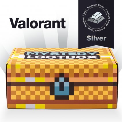 Mystery Box New Product picture Valorant silver