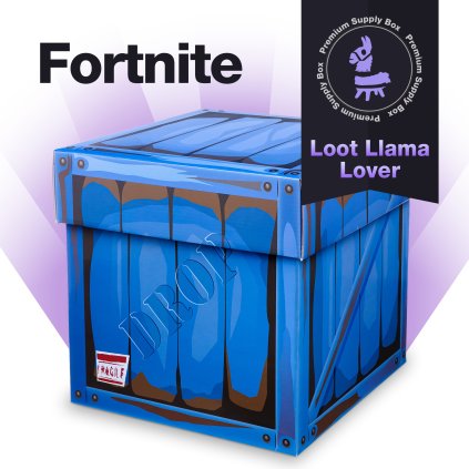 NEW Mystery Box Product picture Fortnite Llama Lover jpg