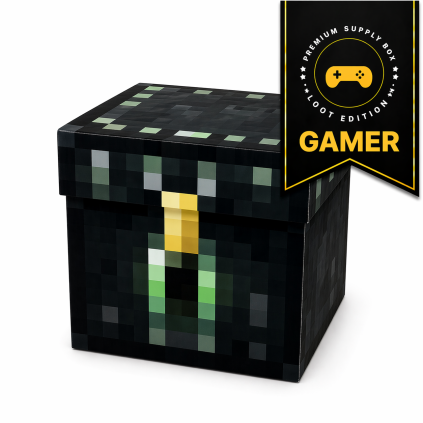 Gamer ender 2