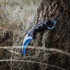 1701 2 karambit sapphire