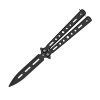 Butterfly Advanced trainer Night  CS2