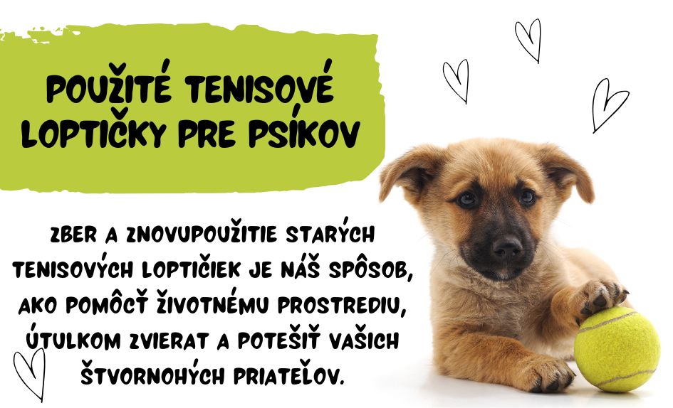 Loptičky pre psov