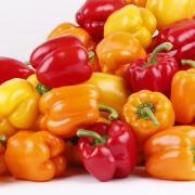 paprika zdrava zelenina hubnuti nachlazeni vlasy nehty svaly pro diabetiky