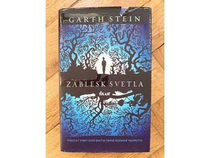 Záblesk svetla, Garth Stein