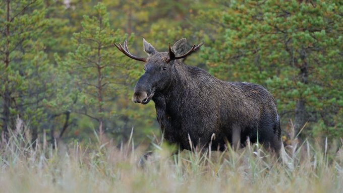 7ce308d1963a305481c925a324a279aa_resize=680,383_