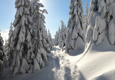 Informace k vyřizovaní objednávek