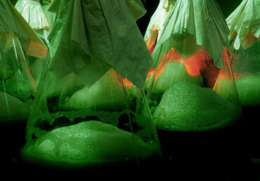 Beta-glukany z pivovarských kvasinek posilují imunitu