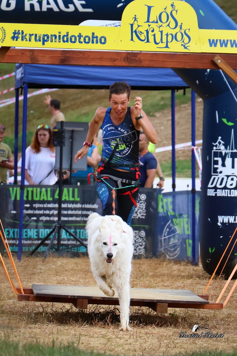 los-krupos-extreme-dog-race-ve-velkem-stylu-1